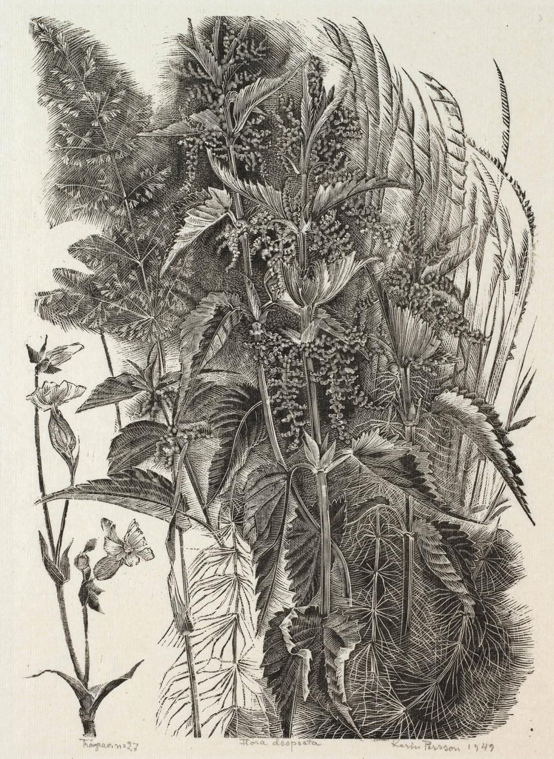Flora despecta (föraktade växter)