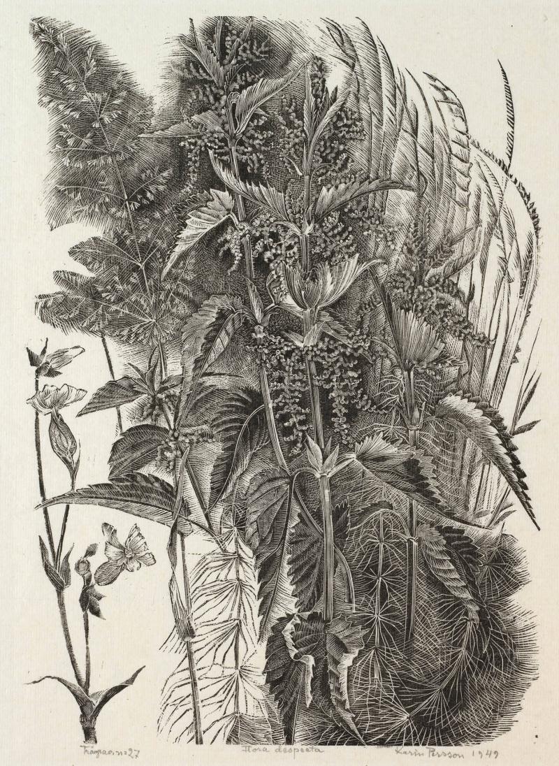 Flora despecta (föraktade växter)