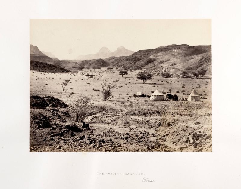 The Wádi-I-Baghleh, Sinai. Ur boken Egypt, Sinai and Palestine. Album 8