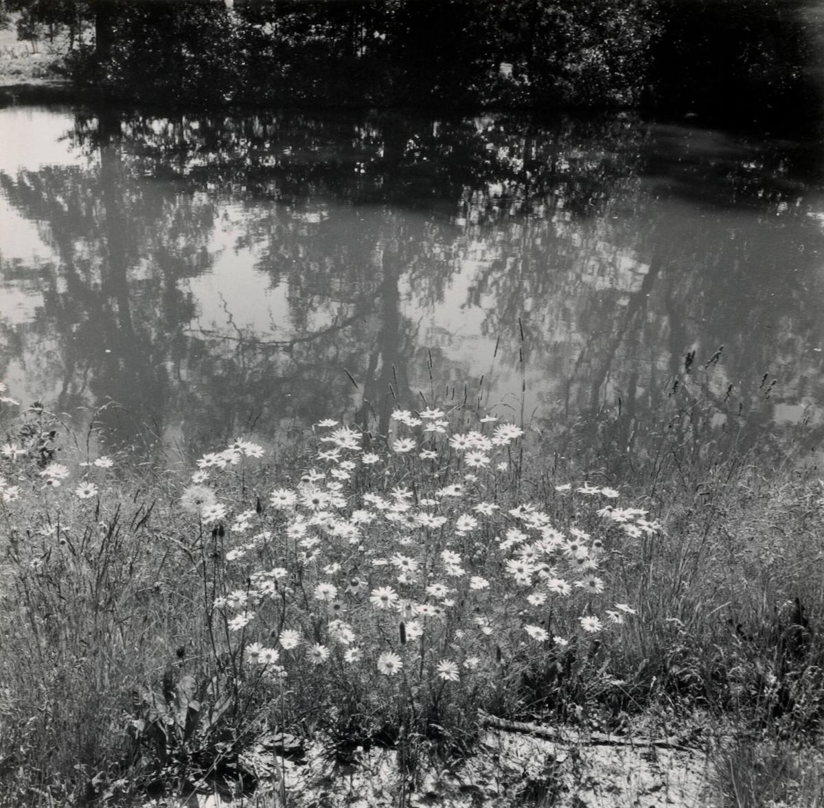 Göta kanal
