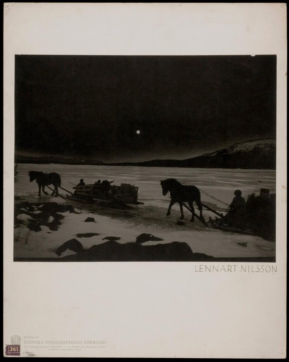 Hästfora från Porjus till Souorva, Lappland