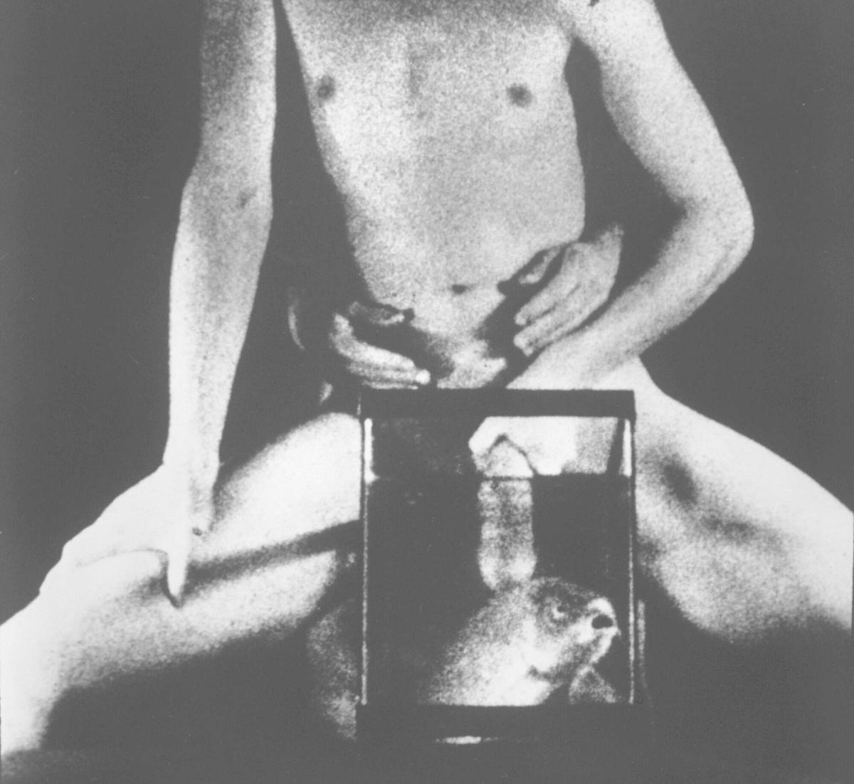 Untitled (from the sex series)
