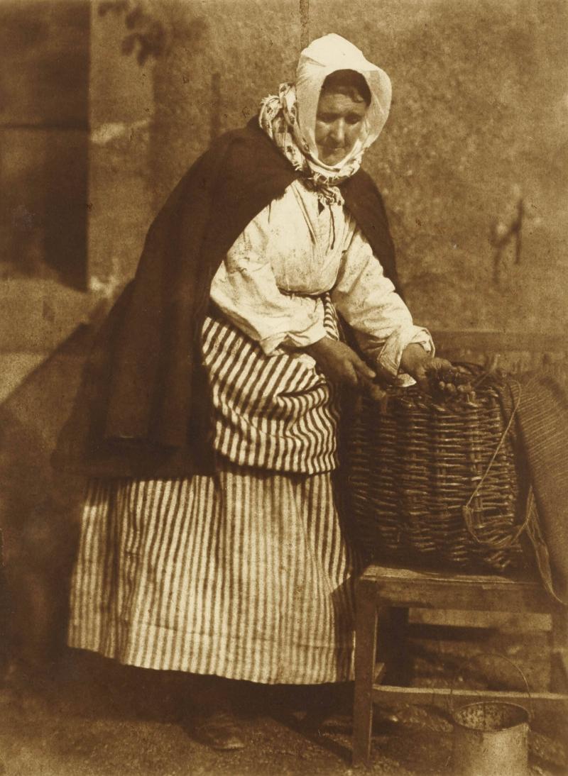 Mrs Barbara Johnstone - Flucker, Newhaven