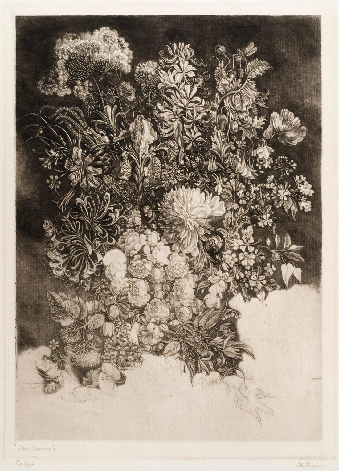Flora Suecia II