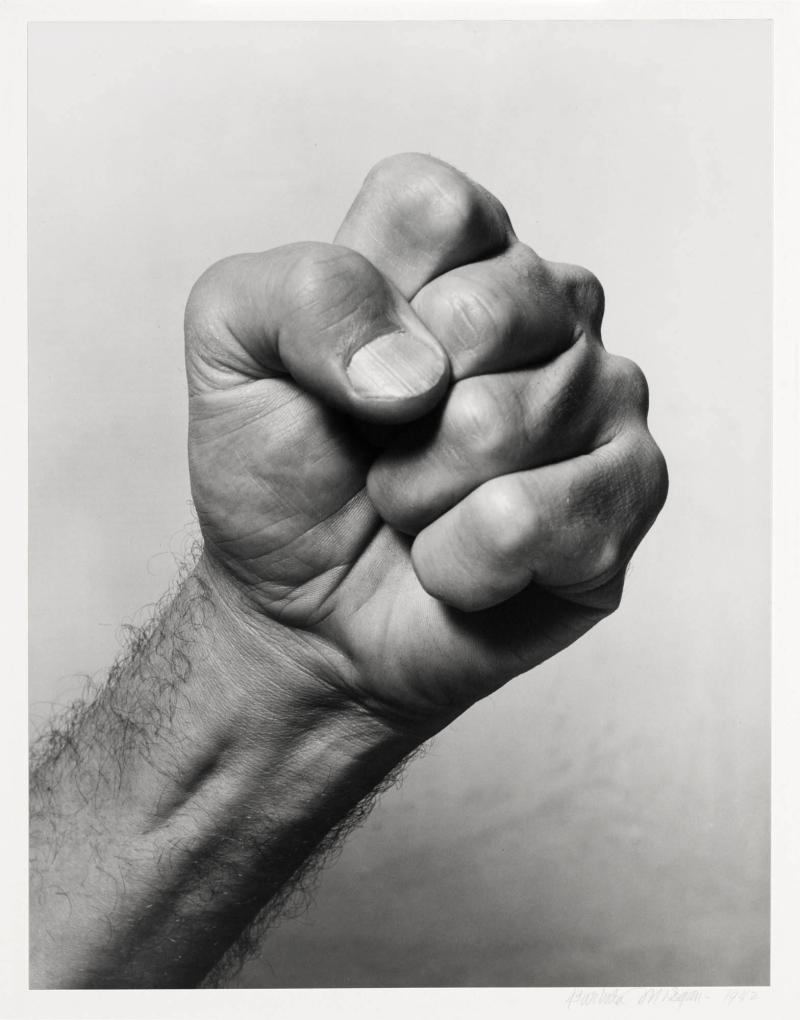 Willard's Fist