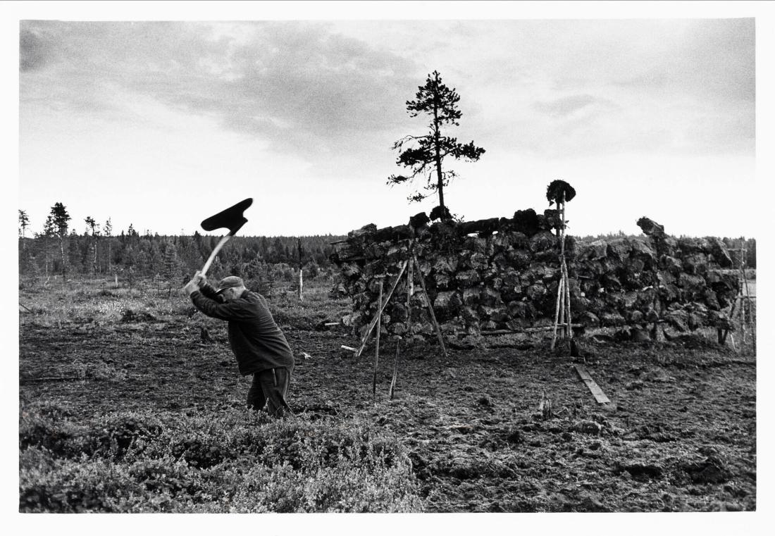 Kronotorpare Alvar Eliasson (1895-1976), bärgar strötorv till ladugården. Ur serien Bilder från den stora flyttningen