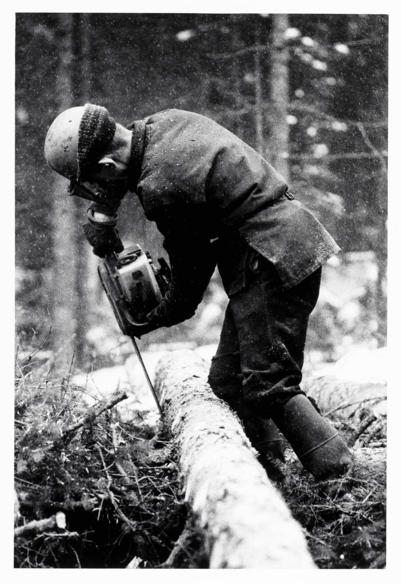 Allan Karlsson i Norrgårn arbetar i egen skog. Ur serien Minnesbok över den svenske bonden