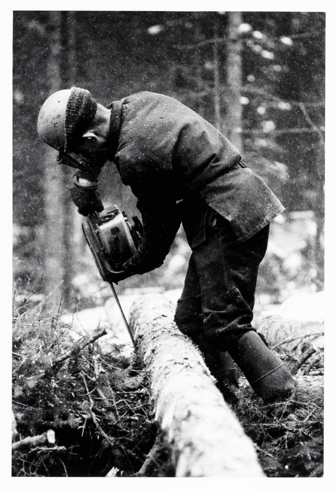 Allan Karlsson i Norrgårn arbetar i egen skog. Ur serien Minnesbok över den svenske bonden
