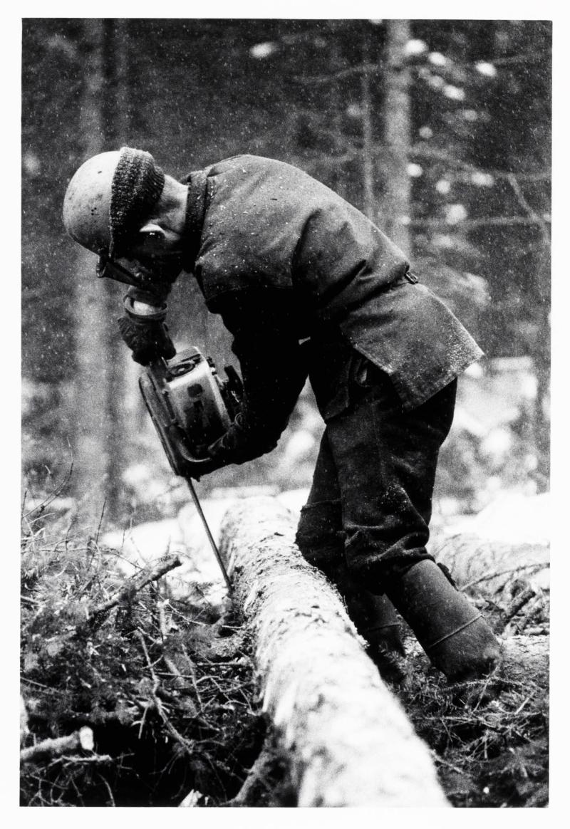Allan Karlsson i Norrgårn arbetar i egen skog. Ur serien Minnesbok över den svenske bonden