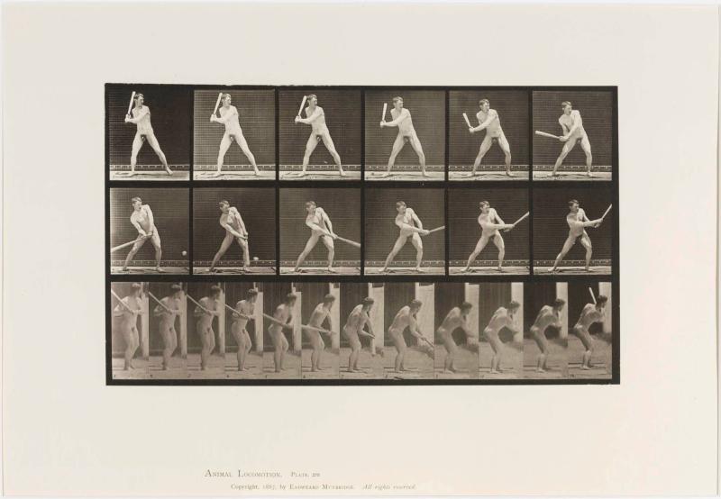 Animal Locomotion, plate 275. From the series Animal Locomotion 1872-1885 Plates University of Pennsylvania