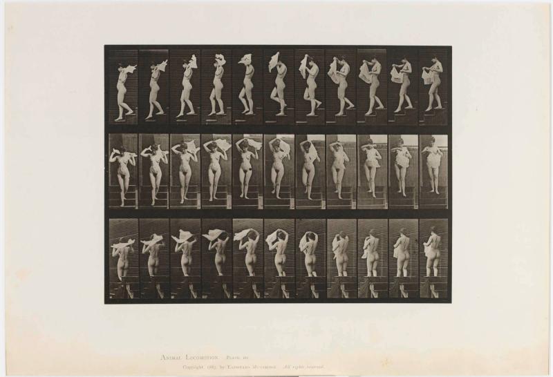 Animal Locomotion, plate 133. Ur serien Animal Locomotion 1872-1885 Plates University of Pennsylvania