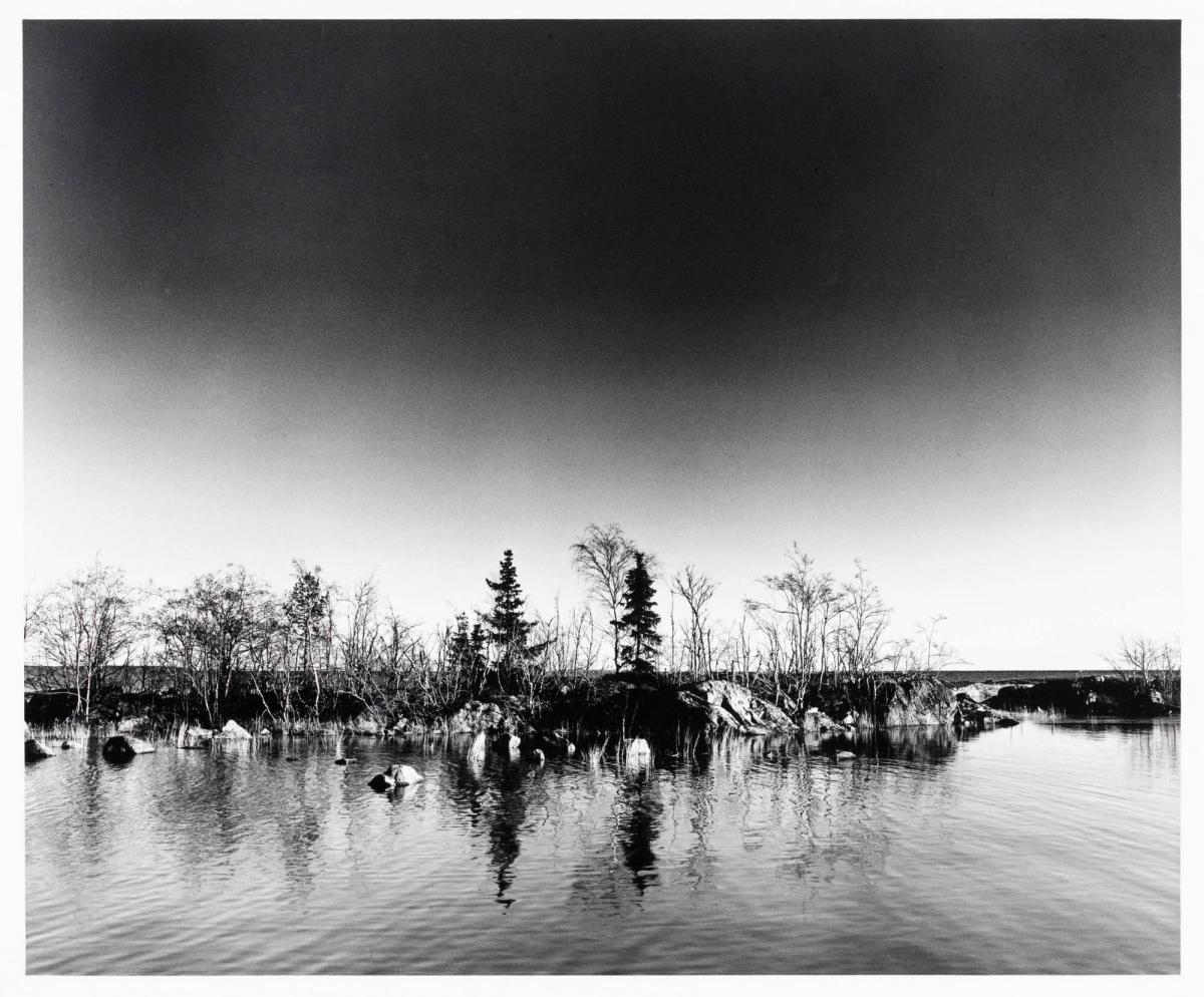 Långron. Ur serien Dagar vid havet