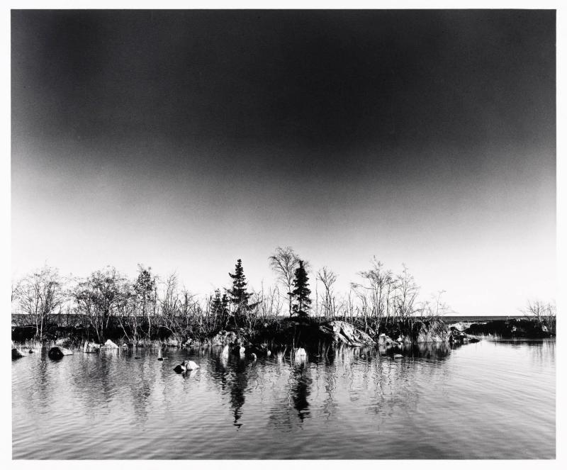 Långron. Ur serien Dagar vid havet