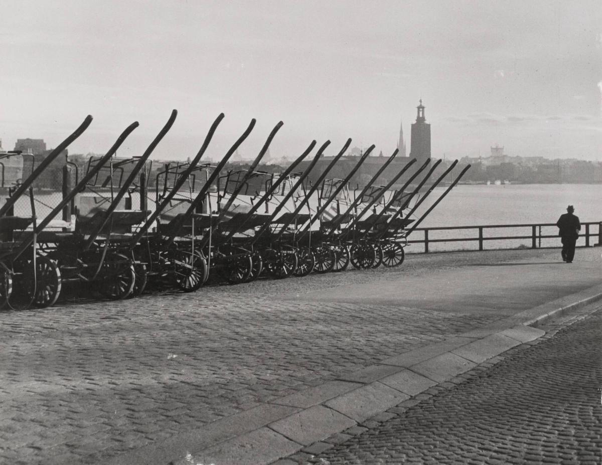 Första morgonvandraren