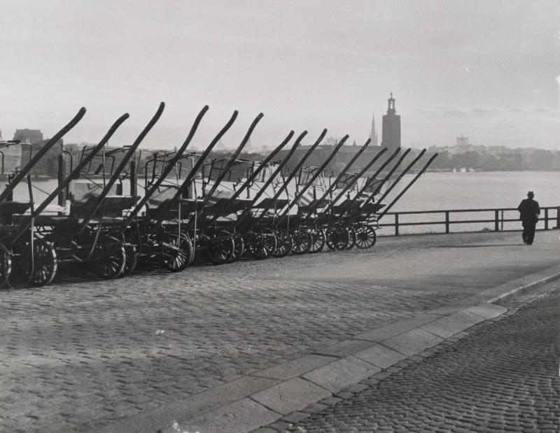 Första morgonvandraren