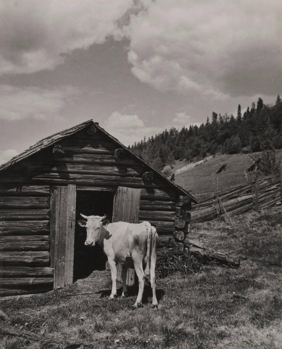 Ångermanland. Motiv från en fäbod i Ådalen