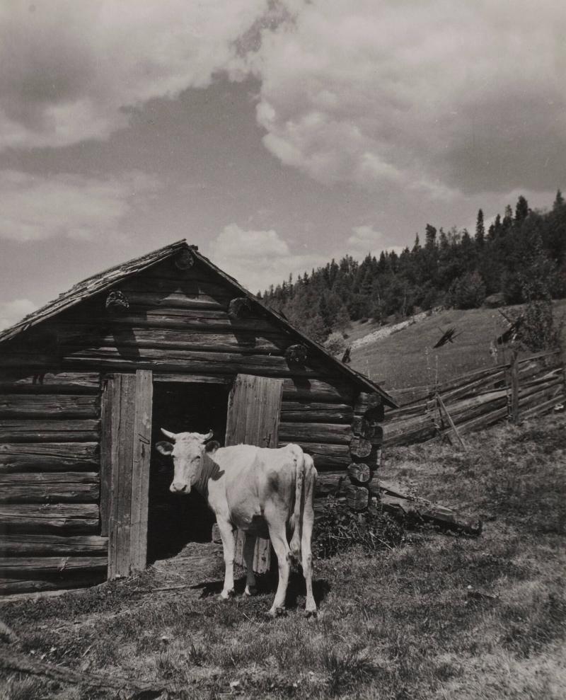 Ångermanland. Motiv från en fäbod i Ådalen
