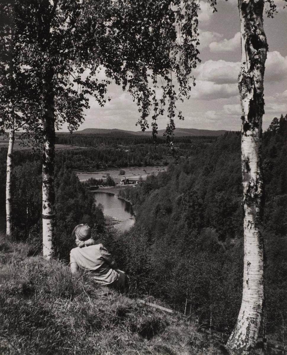 Ångermanland. Utsikt över Ångermanälven