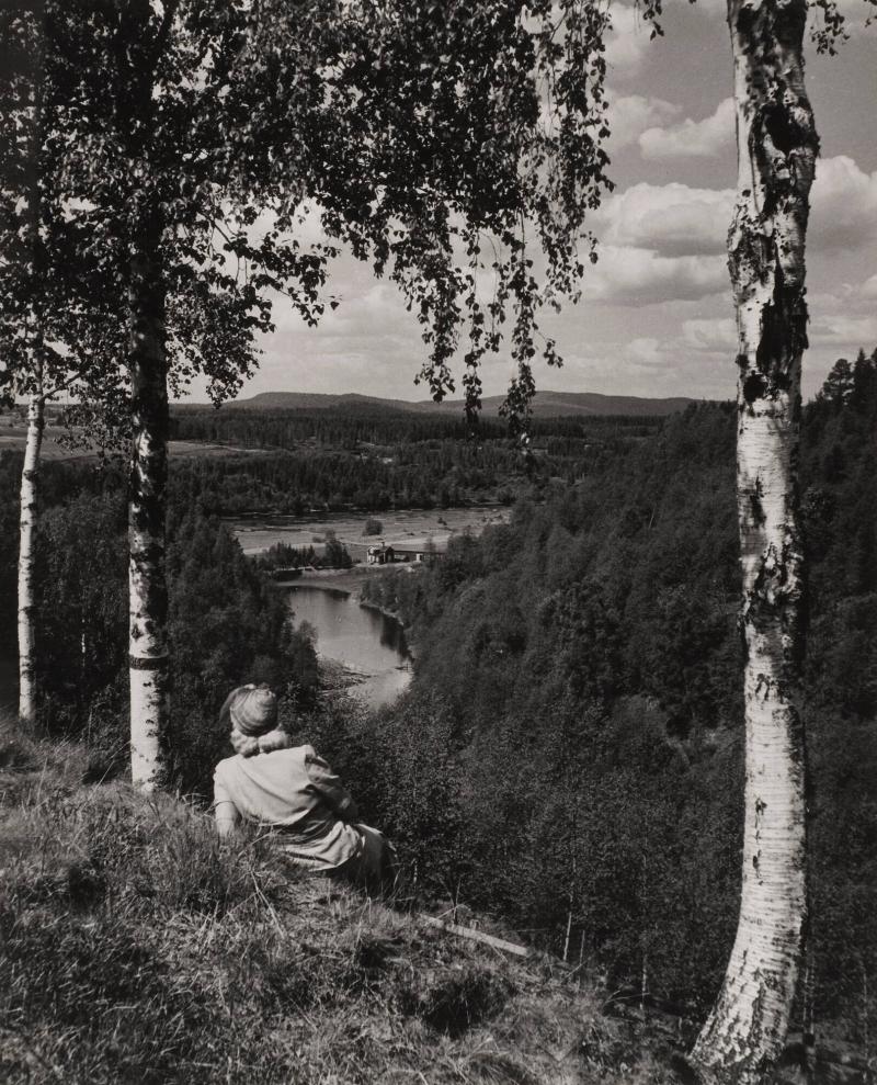 Ångermanland. Utsikt över Ångermanälven
