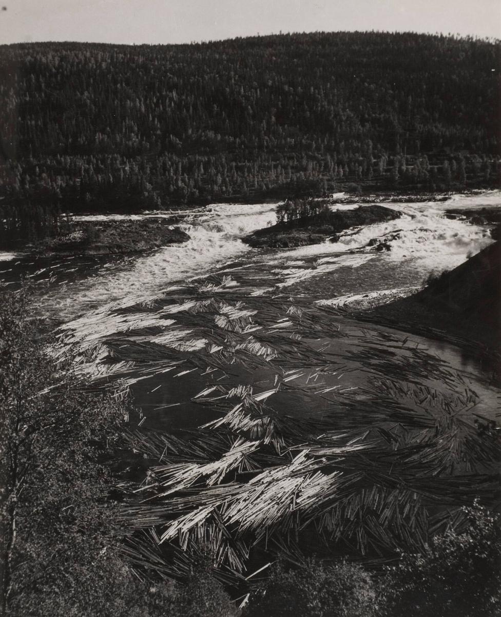 Ångermanland, Ådalen, timmer i älven