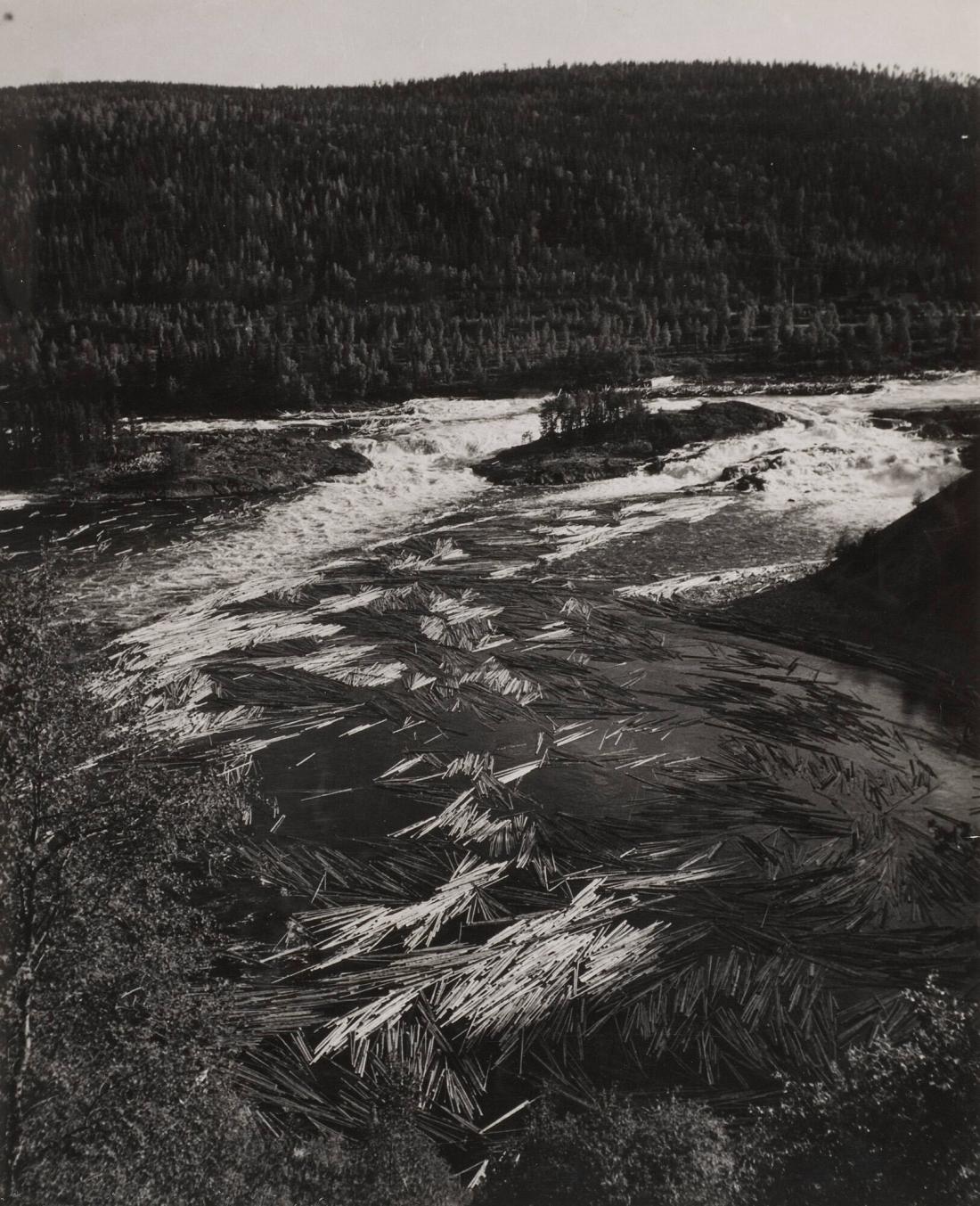 Ångermanland, Ådalen, timmer i älven