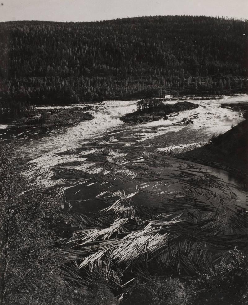 Ångermanland, Ådalen, timmer i älven