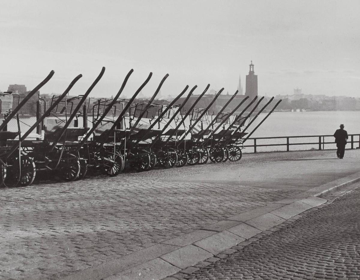 Första morgonvandraren