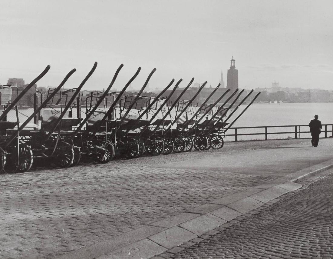 Första morgonvandraren