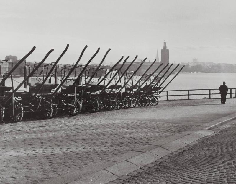 Första morgonvandraren