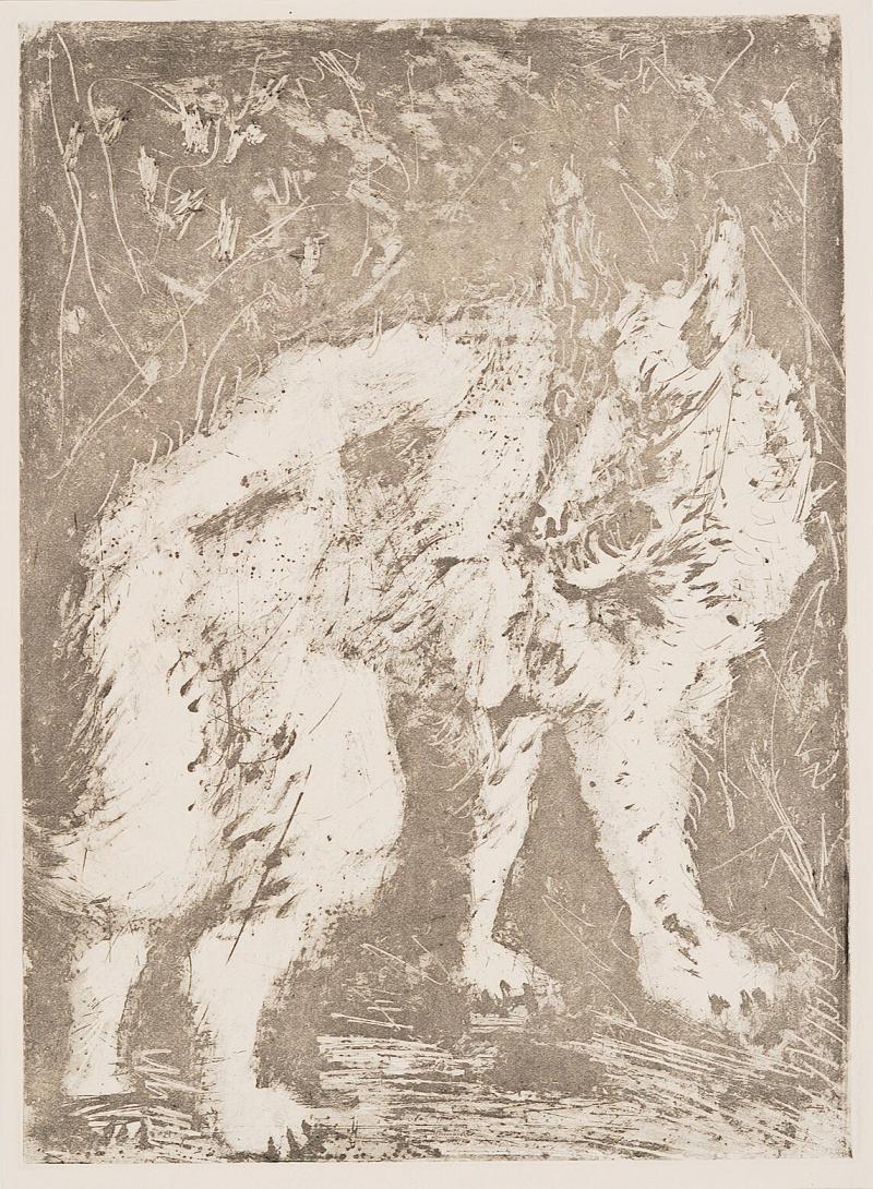 Le loup