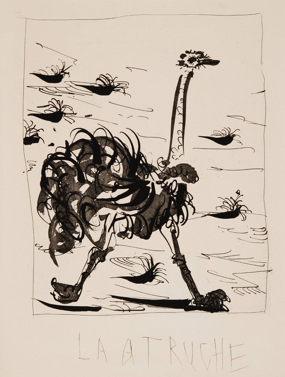 Latruche (L'autruche)