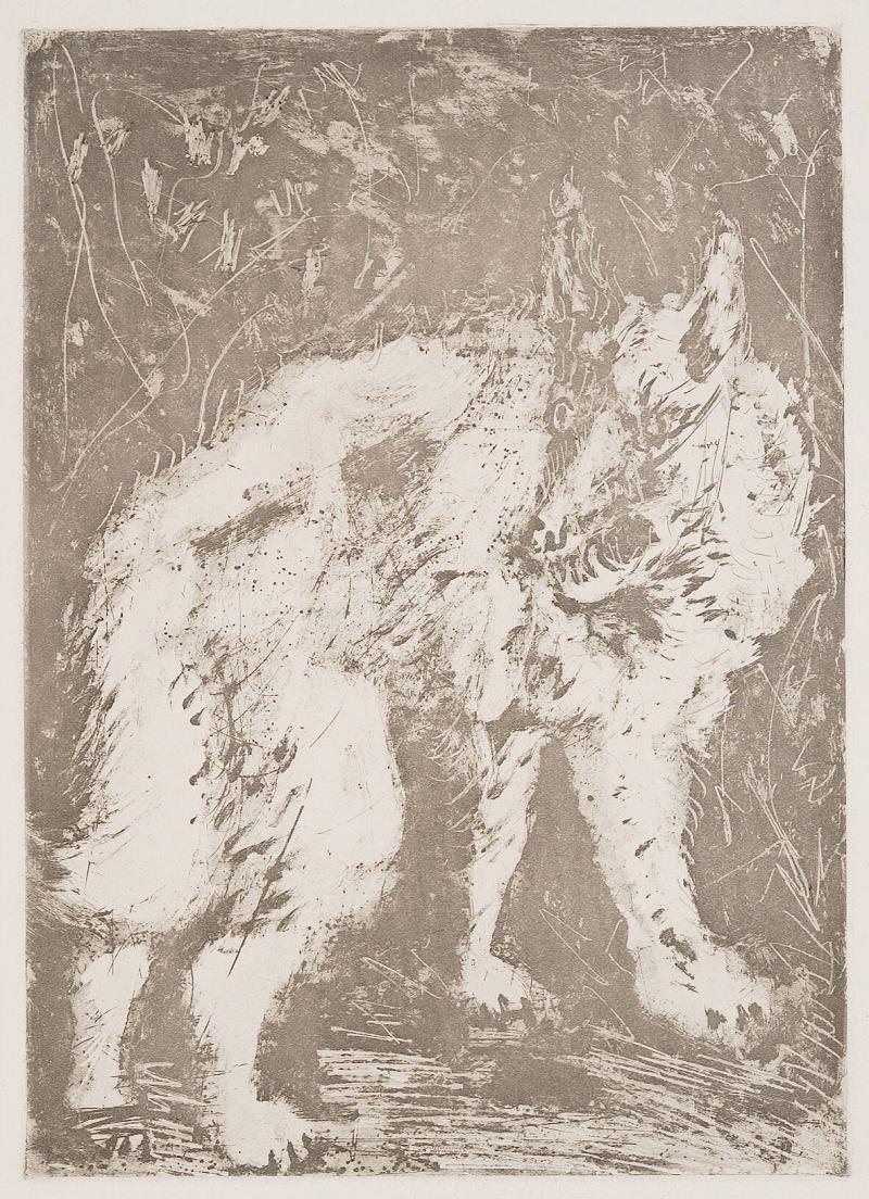 Le loup