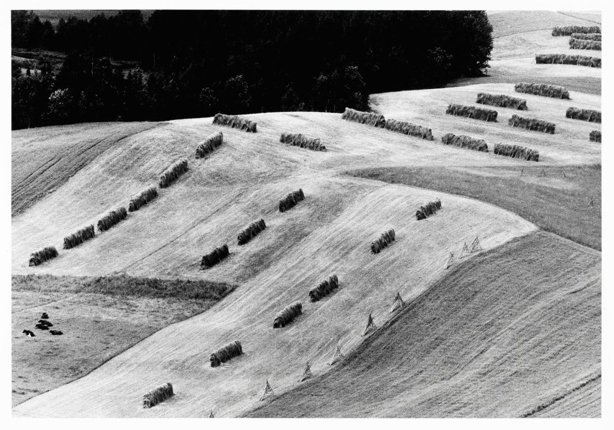 Agnäs, 15 juli 1971. Ur serien Jordabok