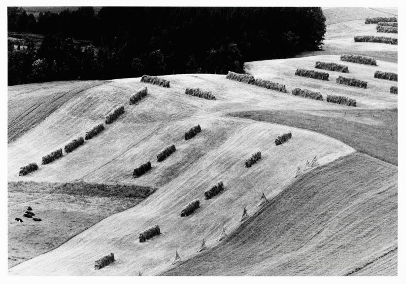 Agnäs, 15 juli 1971. Ur serien Jordabok