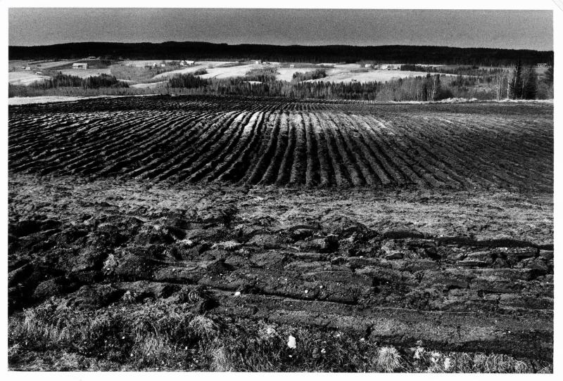 Gräsmyr, 7 oktober 1972. Ur serien Jordabok
