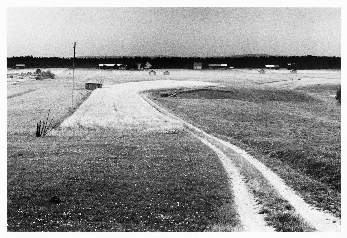 Bjenberg, 2 augusti 1972. Ur serien Jordabok