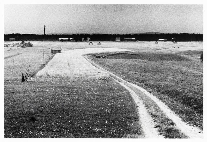 Bjenberg, 2 augusti 1972. Ur serien Jordabok