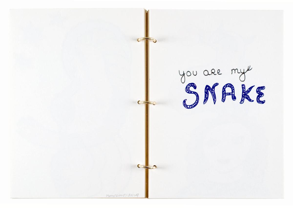 Niki de Saint-Phalle. Ur boken "NIki de Saint Phalle"