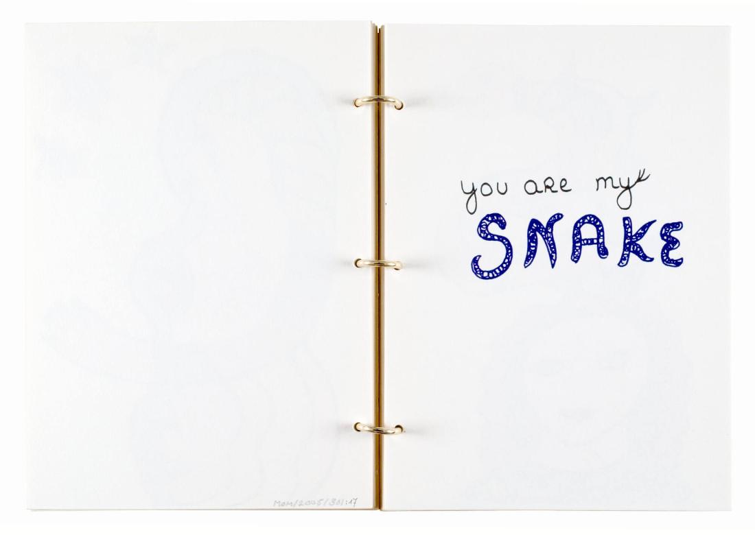 Niki de Saint-Phalle. Ur boken "NIki de Saint Phalle"