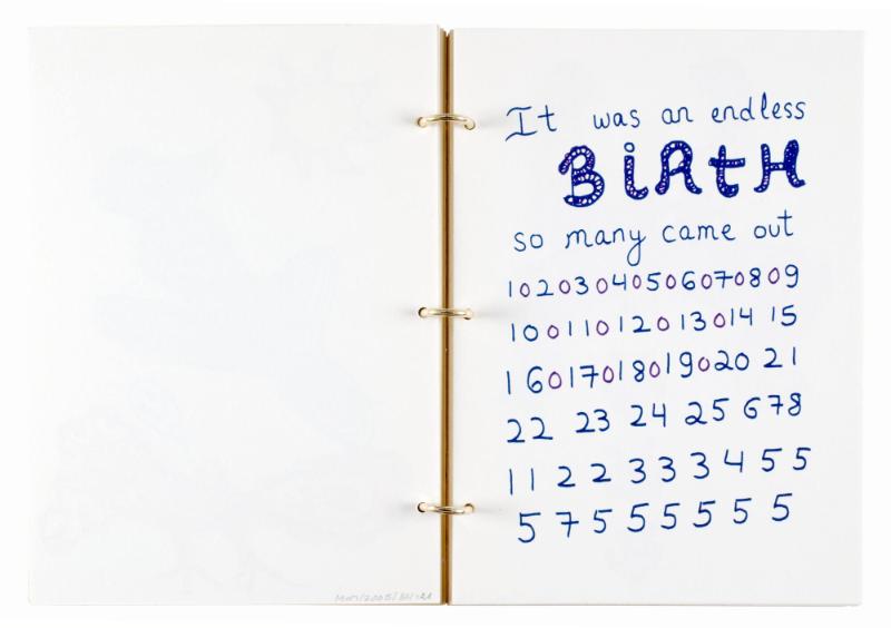 Niki de Saint-Phalle. Ur boken "NIki de Saint Phalle"