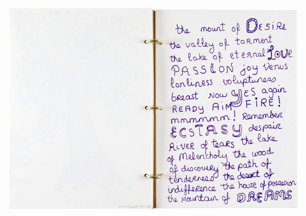 Niki de Saint-Phalle. Ur boken "NIki de Saint Phalle"
