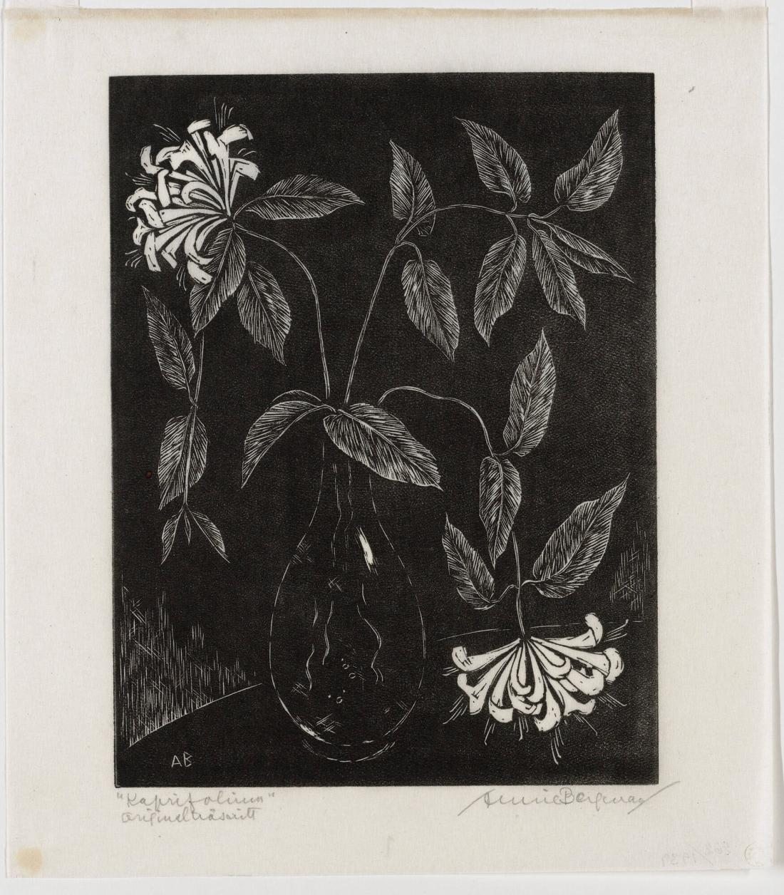 Kaprifolium