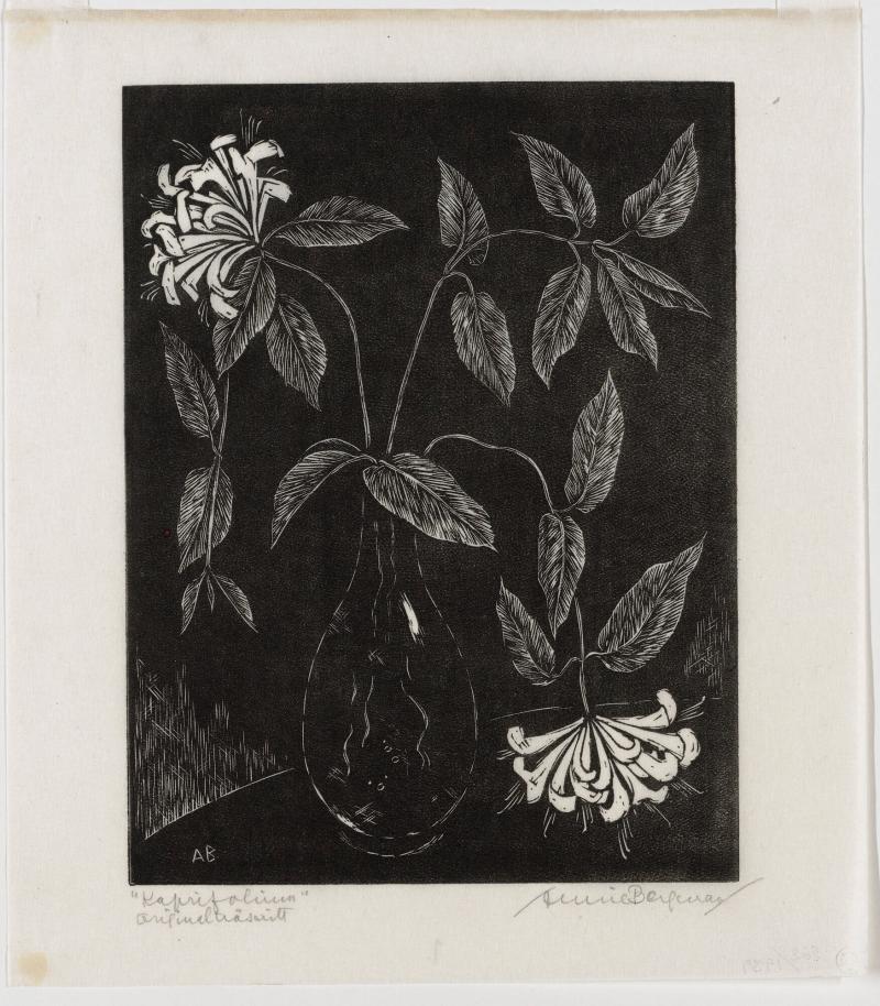 Kaprifolium