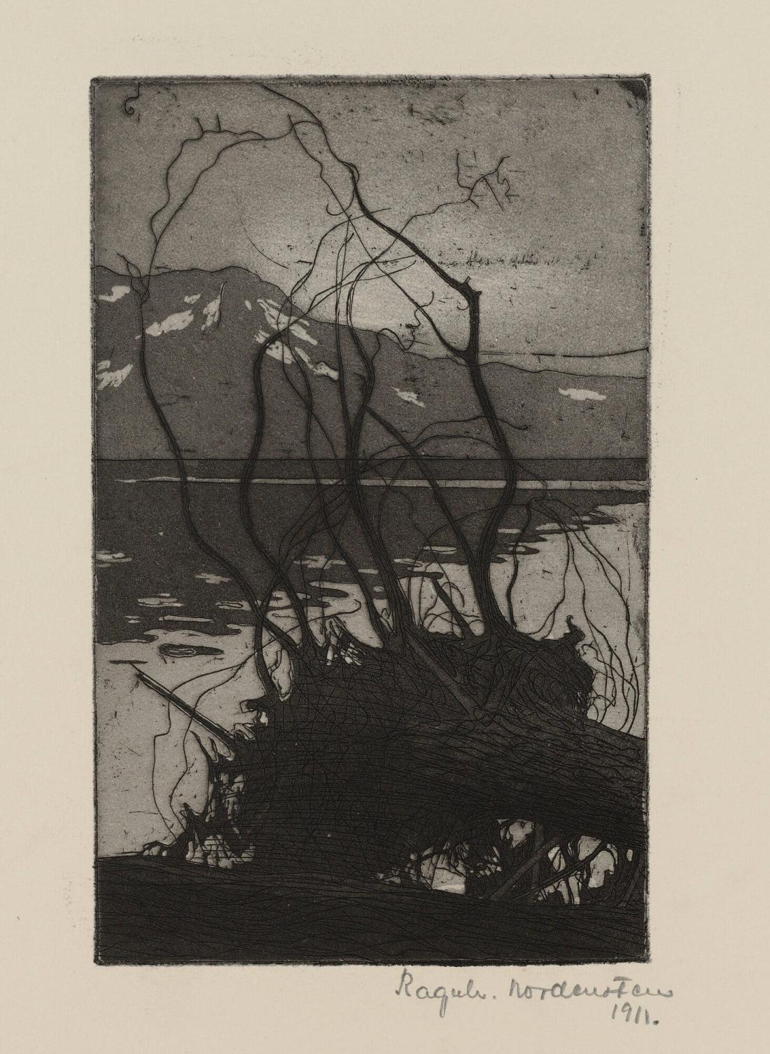 Motiv från Bydalen