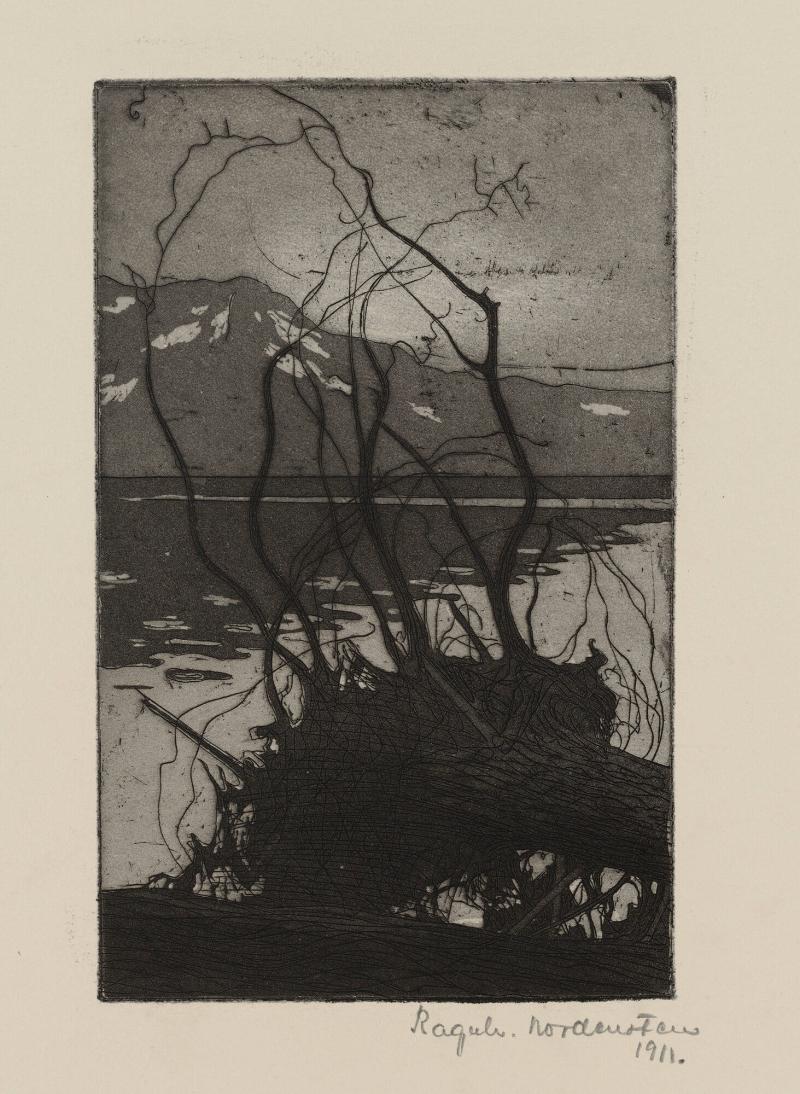 Motiv från Bydalen