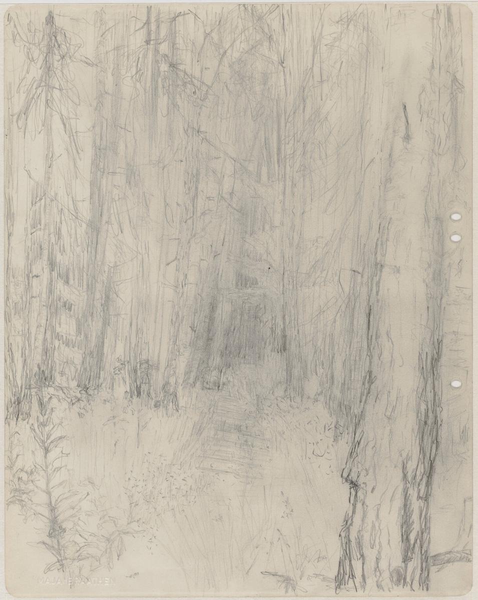 Skog I, Jämtland
