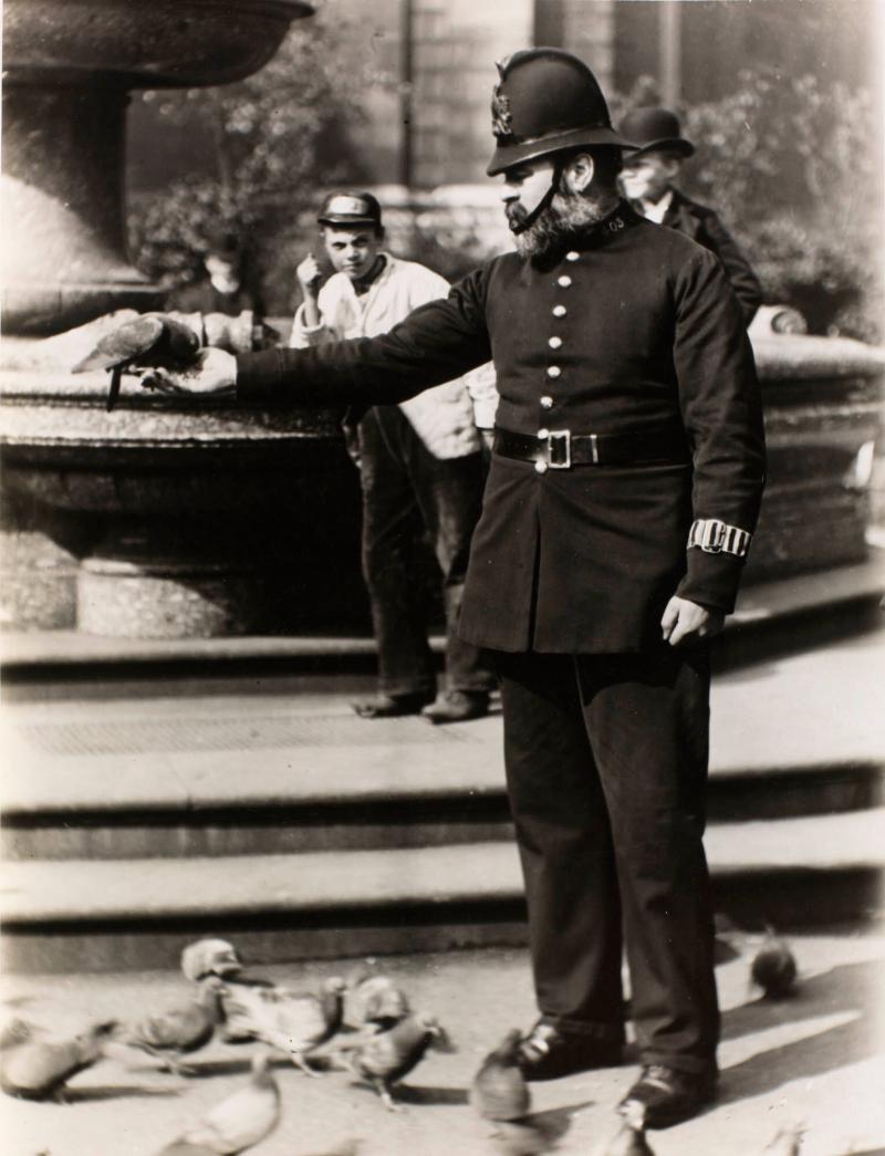 Feeding the Pigeons in St Pauls Churchyard in 1886