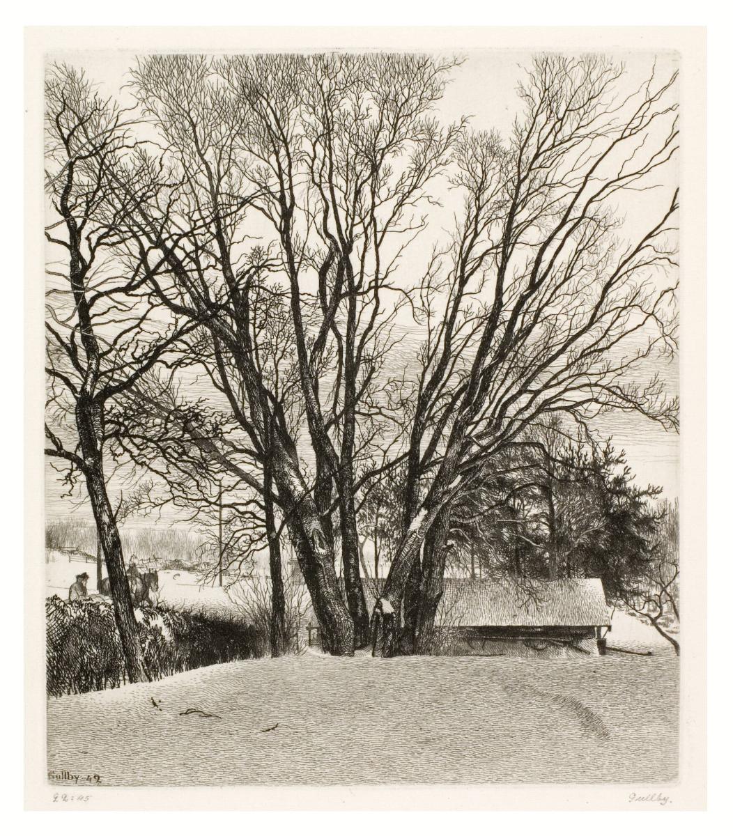 Vinterbild med den gamla sälgen