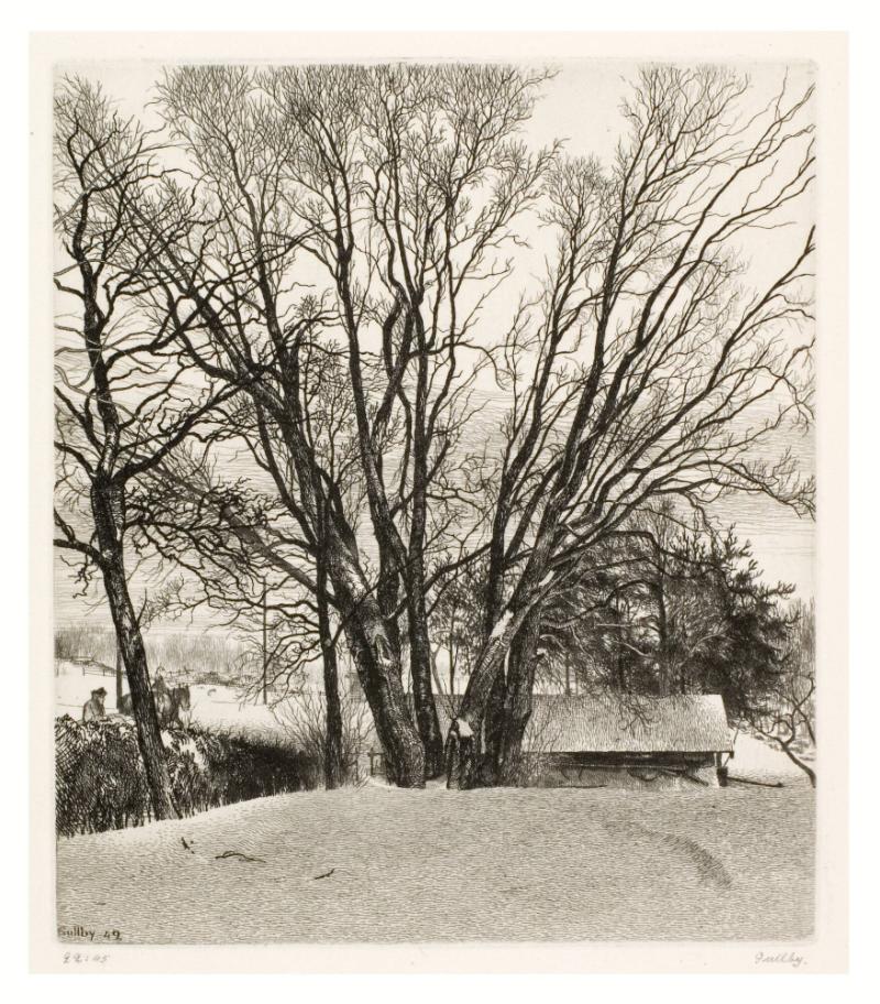 Vinterbild med den gamla sälgen