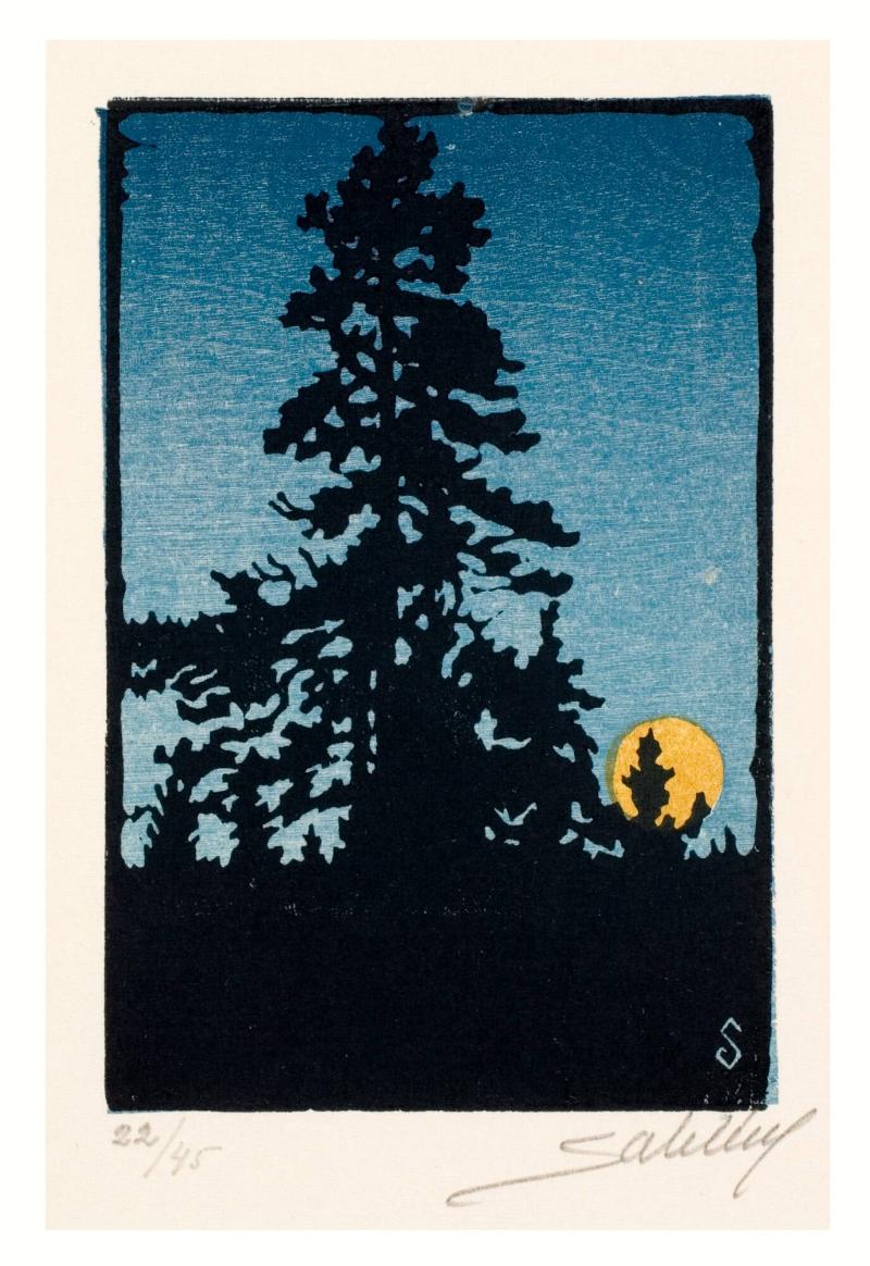 Nordisk afton, månskensbild